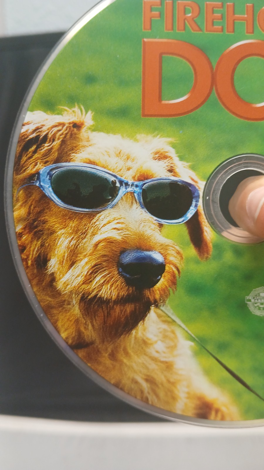 Firehouse Dog DVD Disc 2007 Michael Colleary Family-Live Action 20th Century