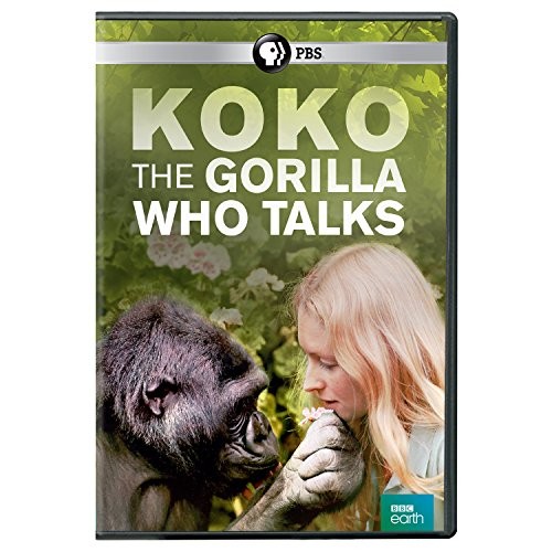 Koko: The Gorilla Who Talks – DVD By n/a – GOOD