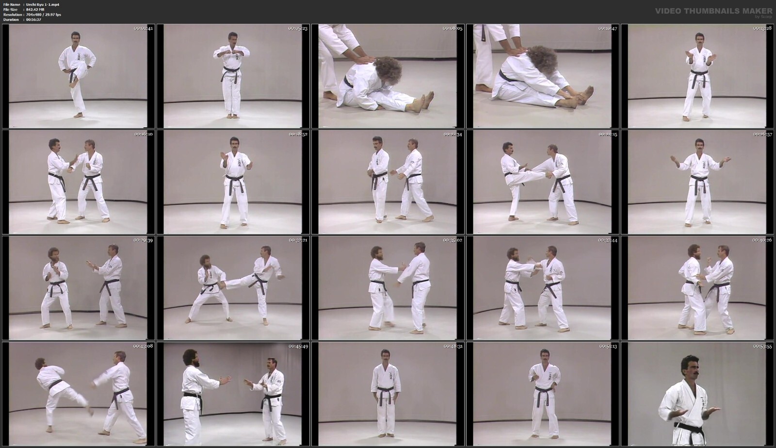 Okinawan Uechi Ryu Karate starring Rod Mindlin (8 DVD Set)