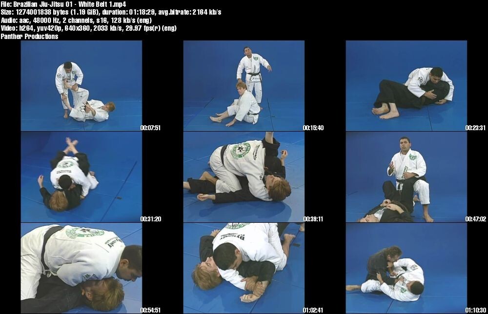 Brazilian Jiu Jitsu and Advanced BJJ starring Joe Moreira (23 DVD Set)