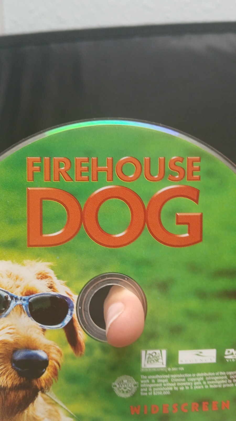 Firehouse Dog DVD Disc 2007 Michael Colleary Family-Live Action 20th Century