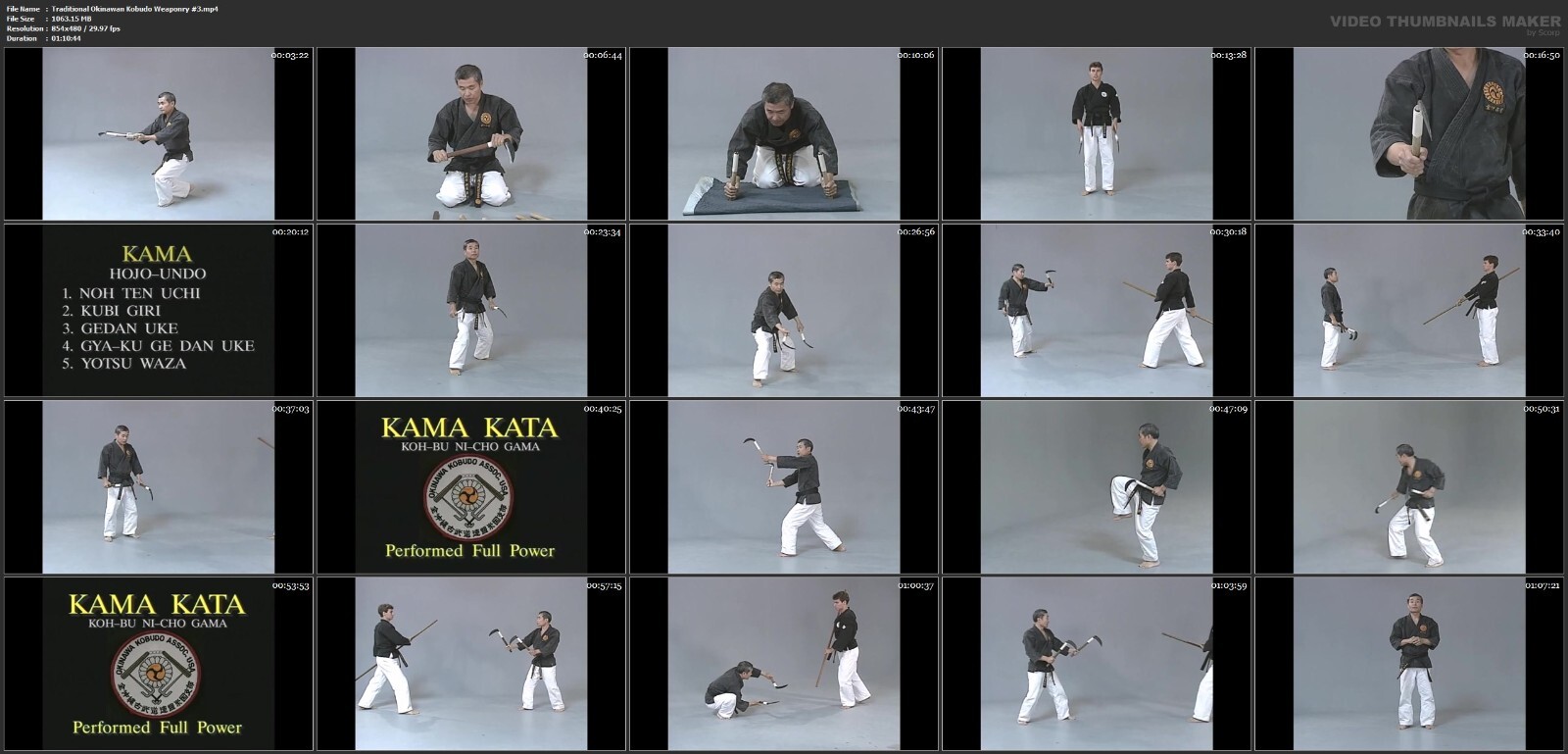 Traditional Okinawan Kobudo starring Mikio Nishiuchi (11 DVD Set)