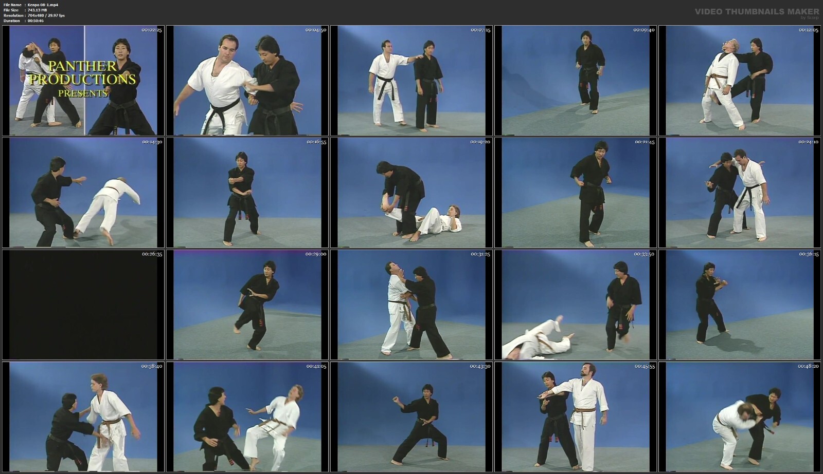 American Kenpo Self-Defense starring Jody Sasaki (21 DVD Set)