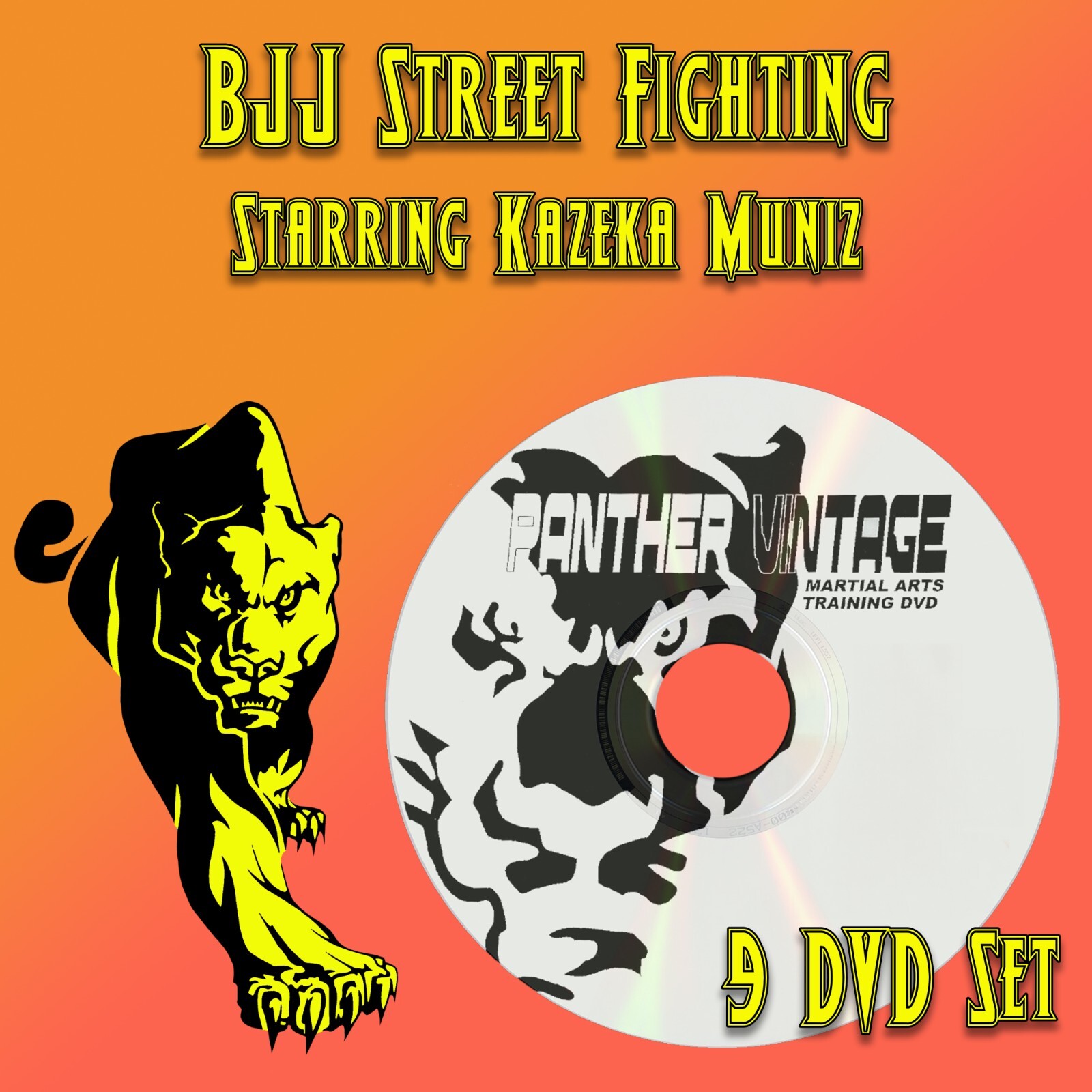 Brazilian Street Fighting Self Defense starring Kazeka Muniz (9 DVD Set)
