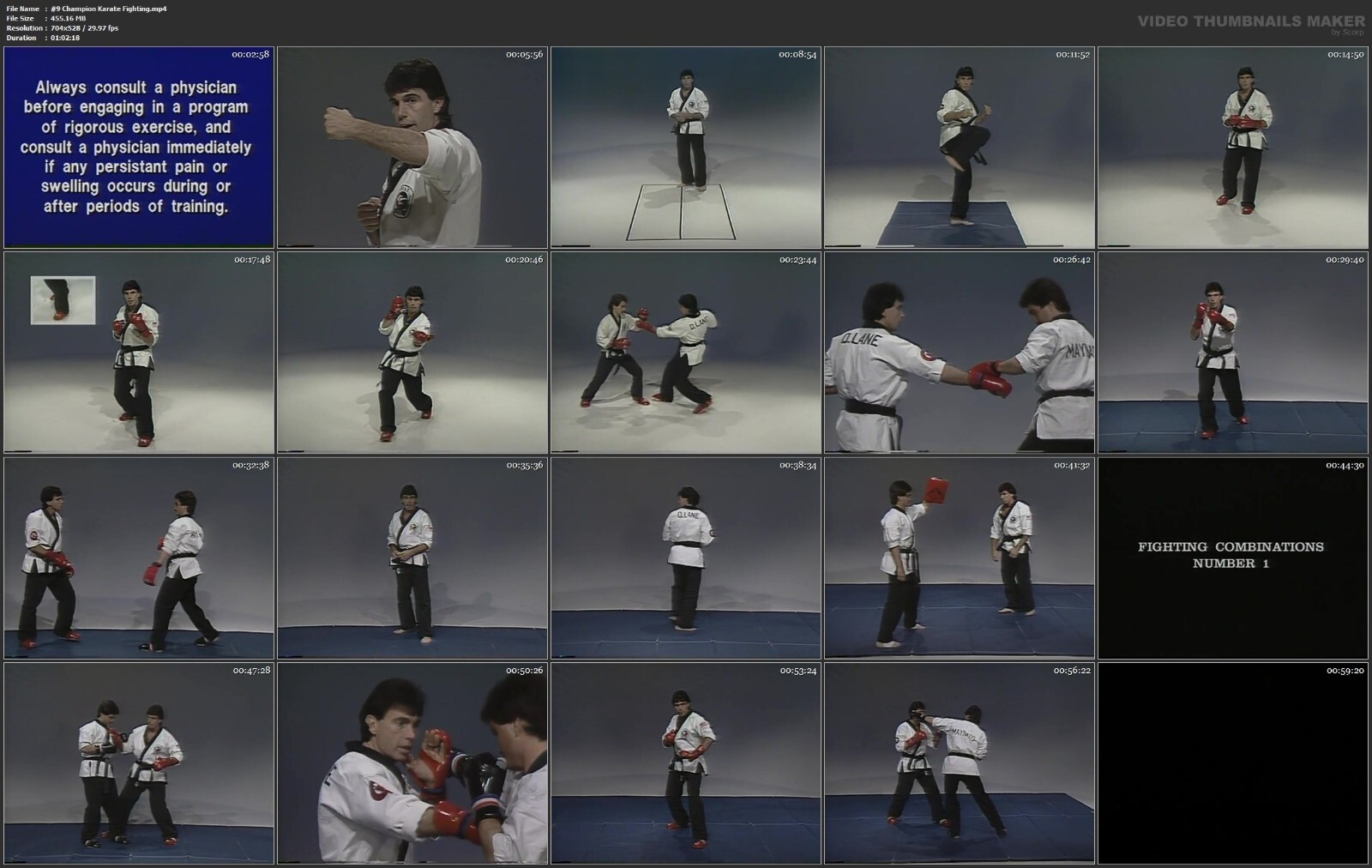 Champion Karate starring Danny Lane (10 DVD Set)