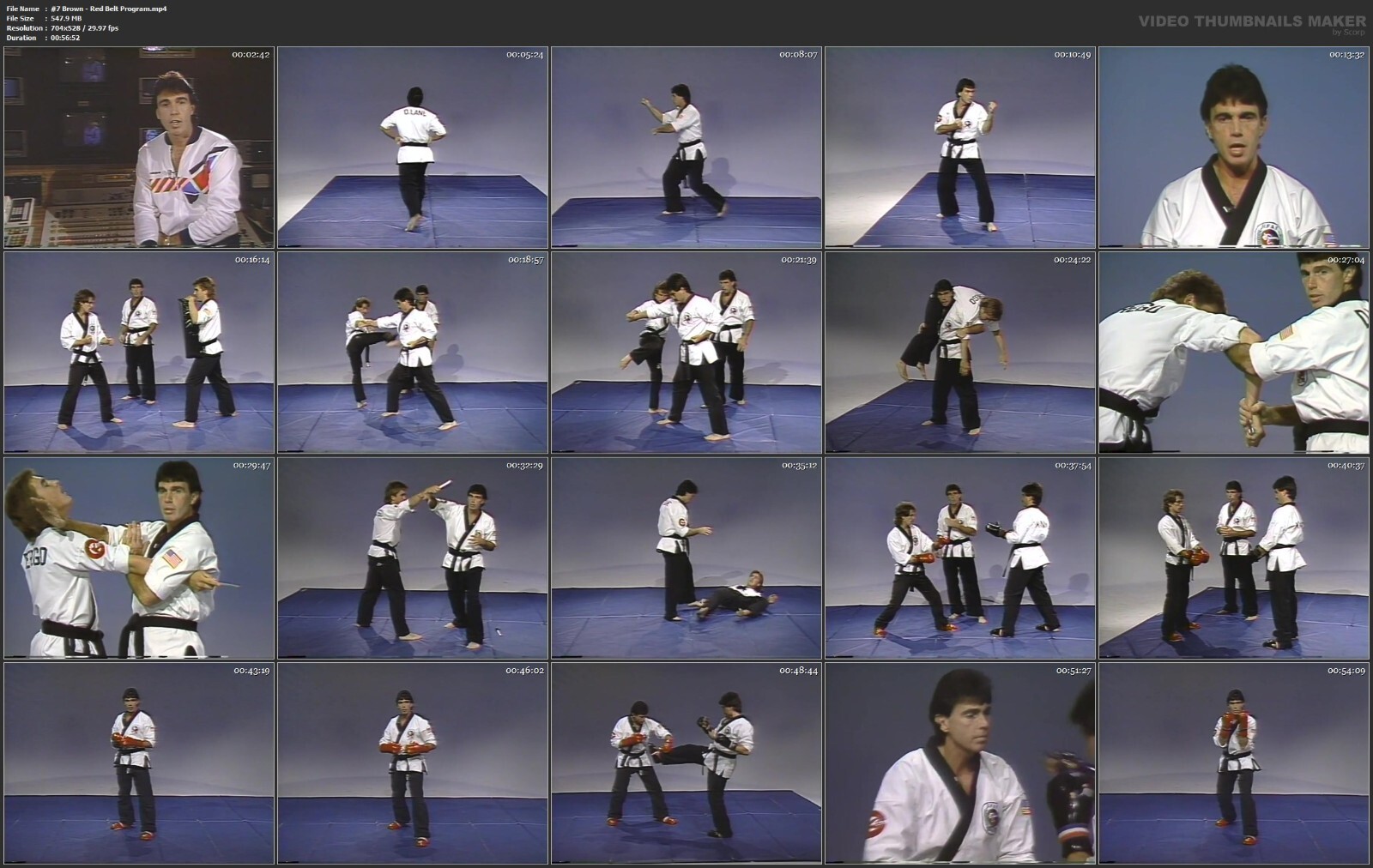 Champion Karate starring Danny Lane (10 DVD Set)
