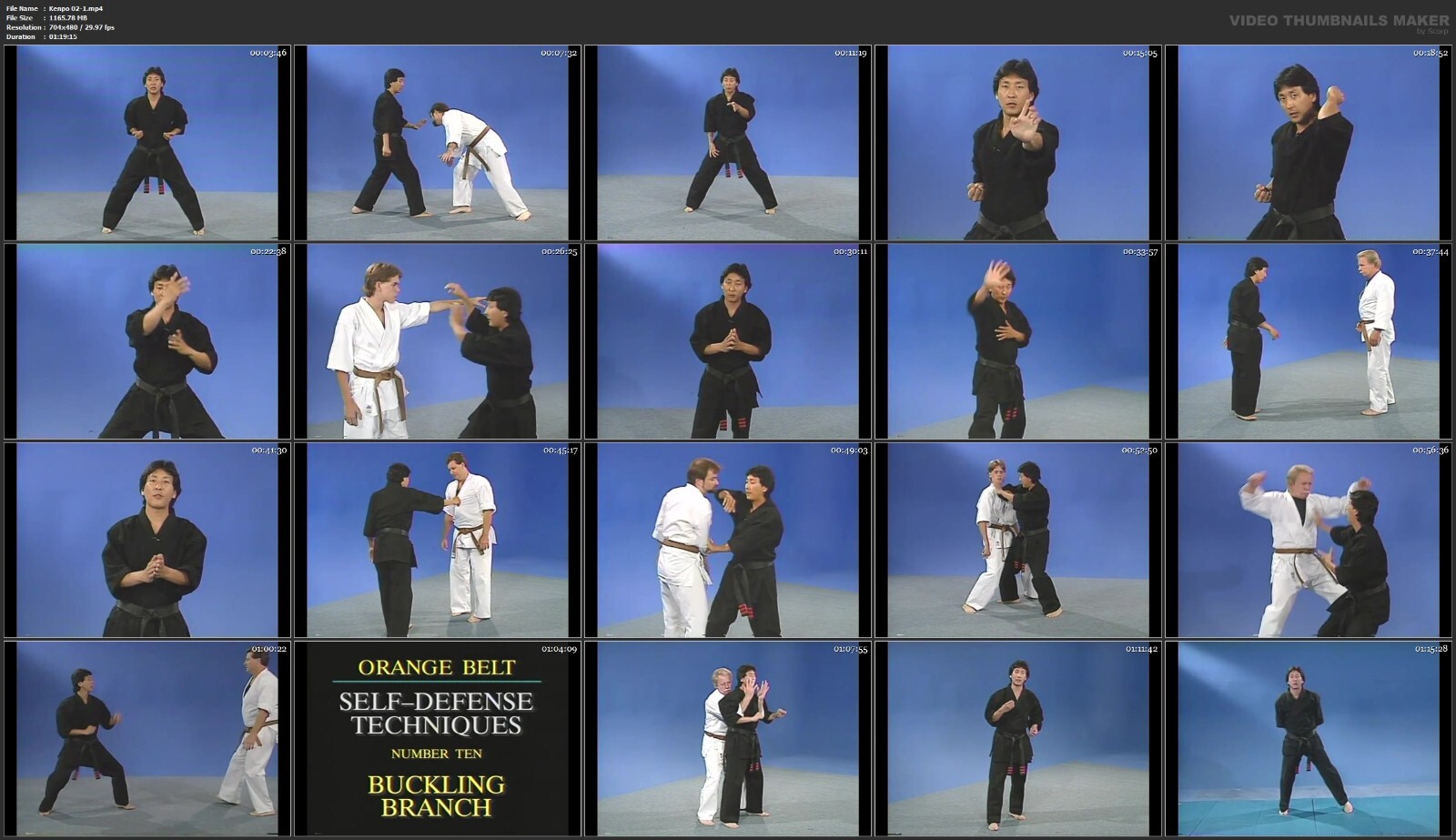 American Kenpo Self-Defense starring Jody Sasaki (21 DVD Set)