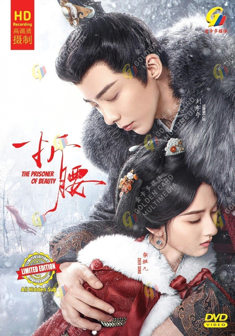 The Prisoner of Beauty -Chinese Drama DVD with English Subtitles