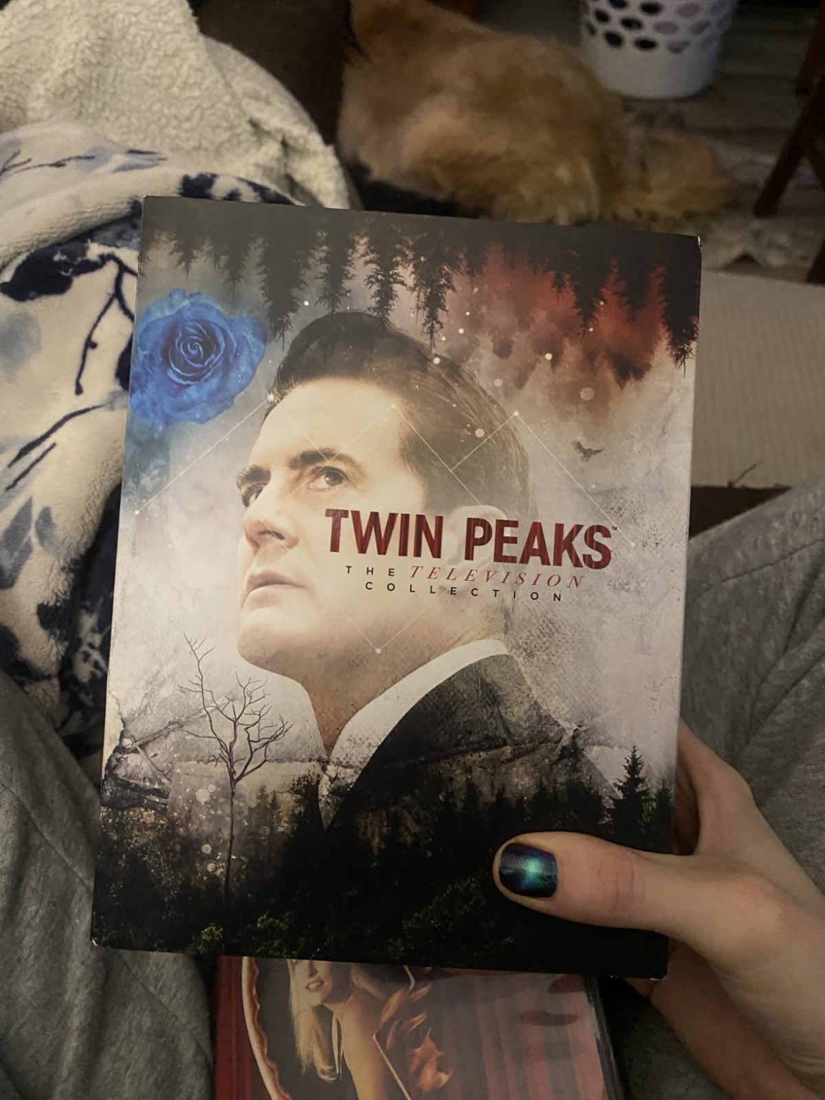 Complete Twin Peaks TV Collection DVD Box Set 17 Discs 42Hours Series Mystery US