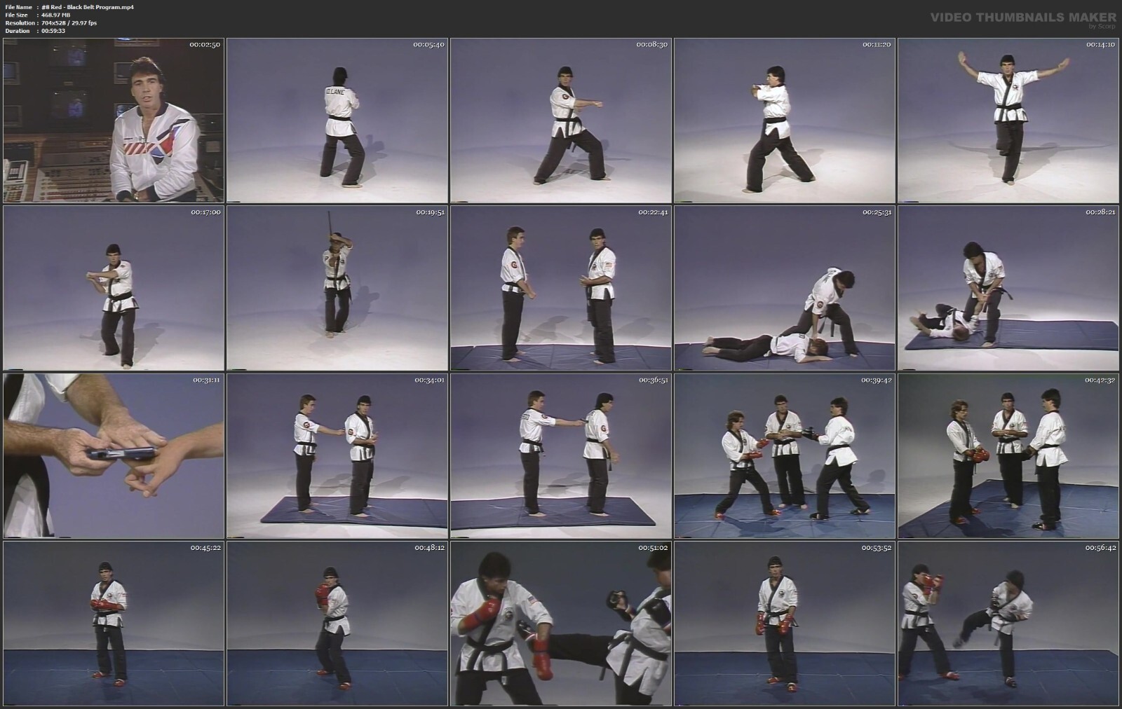 Champion Karate starring Danny Lane (10 DVD Set)