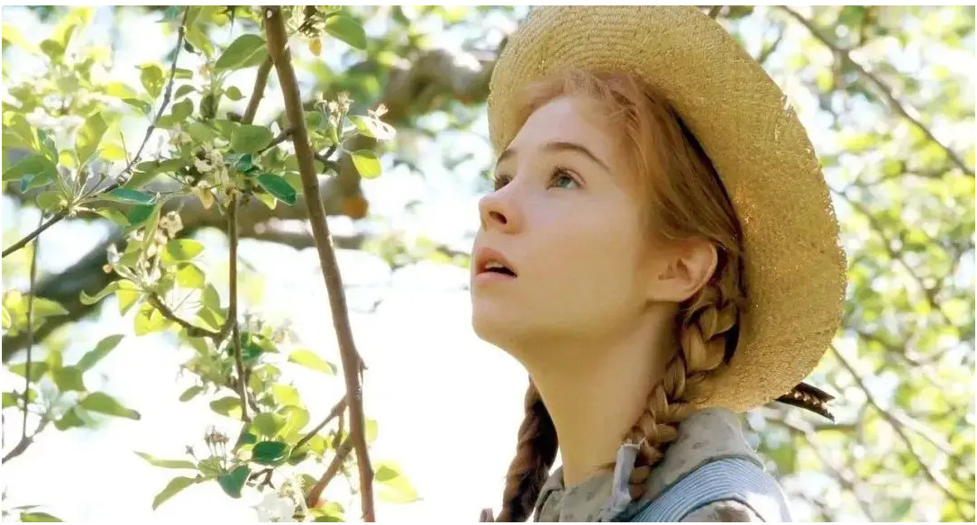 Anne of Green Gables DVD 5 Disc Set INV-3831 Collector’s Edition 2000