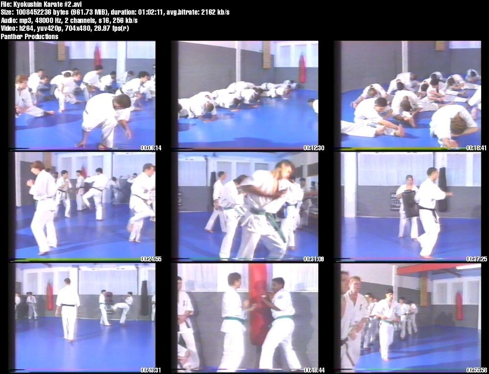 Kyokushinkai-Kan Karate starring Andy Hug & Michael Wedel (6 DVD Set)