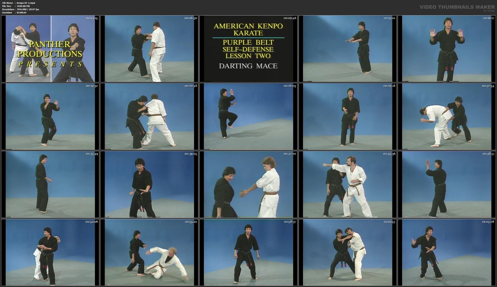 American Kenpo Self-Defense starring Jody Sasaki (21 DVD Set)
