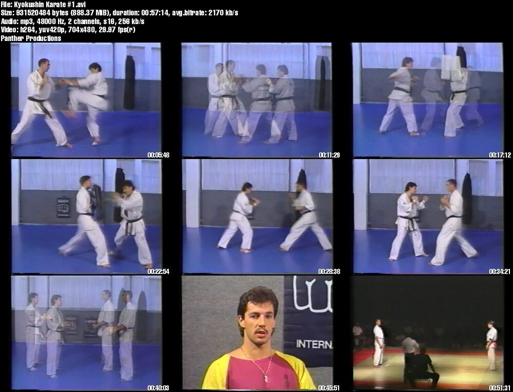 Kyokushinkai-Kan Karate starring Andy Hug & Michael Wedel (6 DVD Set)