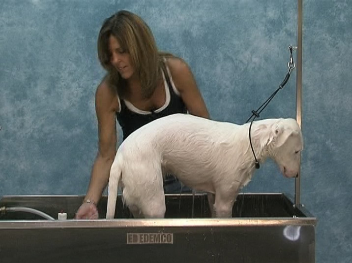 JODI MURPHY INSTRUCTIONAL SERIES DESHEDDING THEORY & TECHNIQUES dog grooming DVD