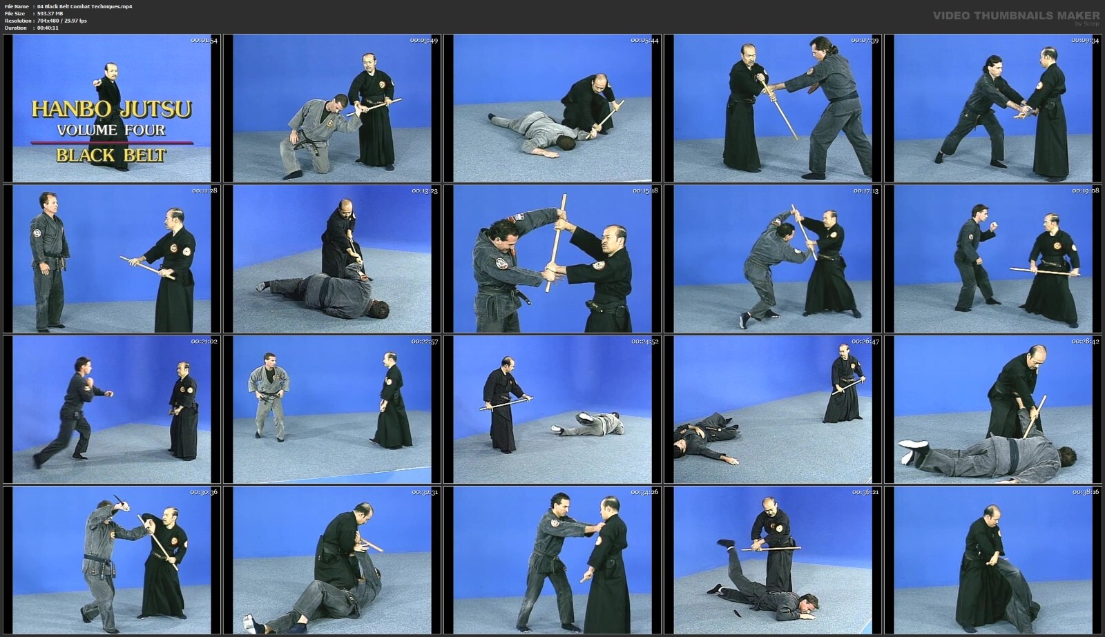Home Study Course – Samurai Hanbo Jutsu Mastery (DVDs + Certificates)