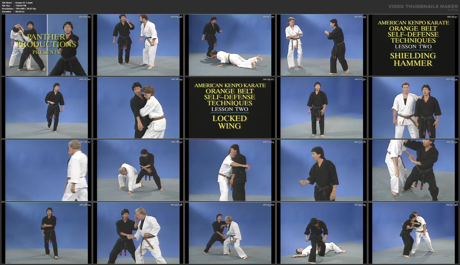 American Kenpo Self-Defense starring Jody Sasaki (21 DVD Set)