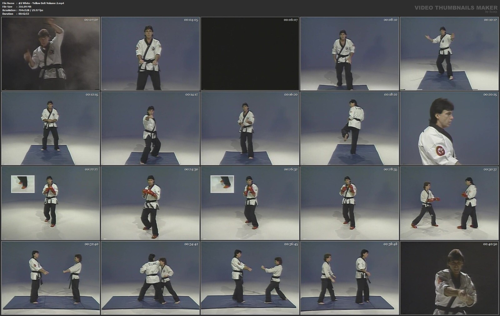 Champion Karate starring Danny Lane (10 DVD Set)
