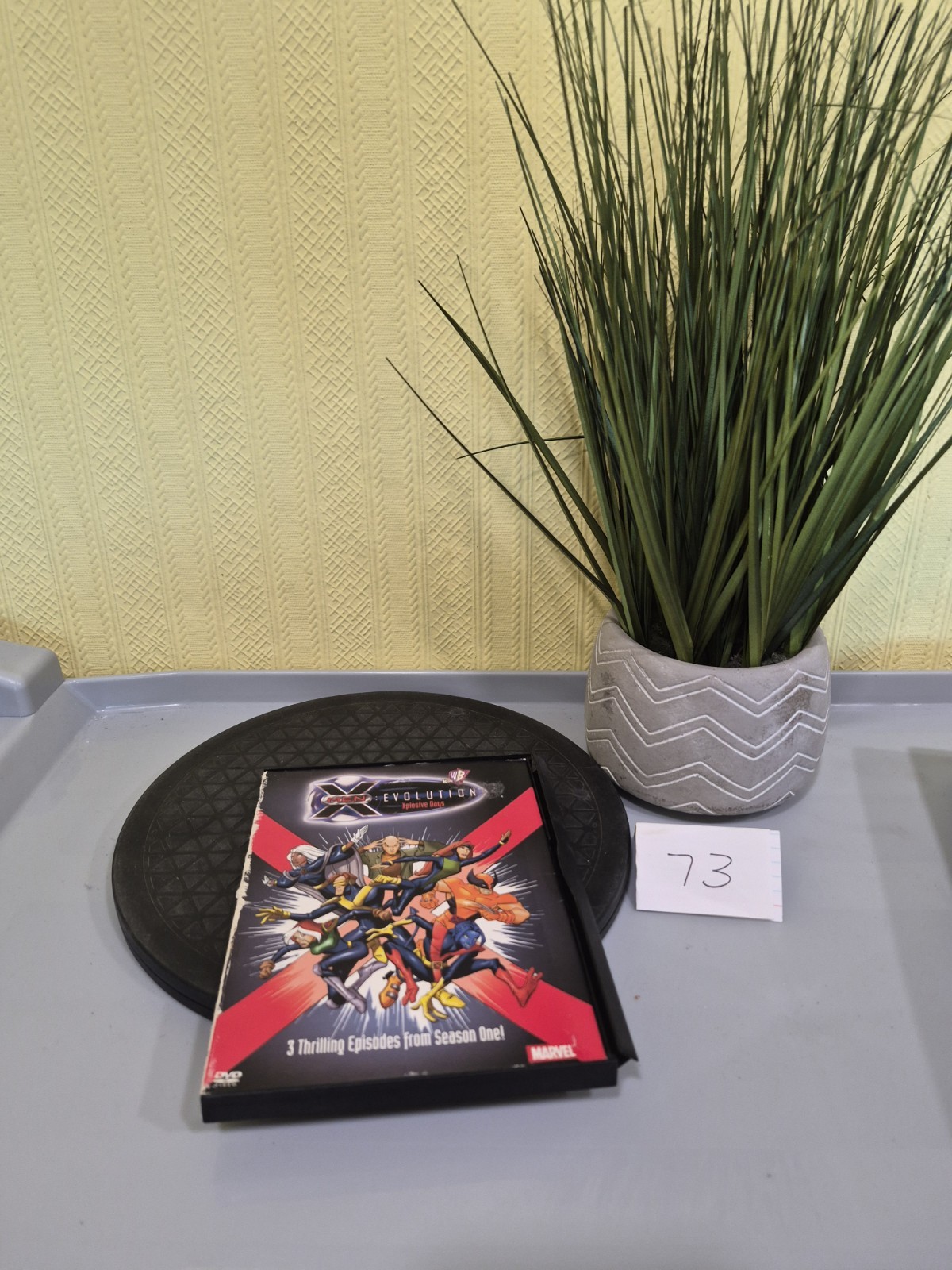 X Men Evolution Xplosive Days DVD MOVIE ANIMATED XMEN Explosive CARTTON