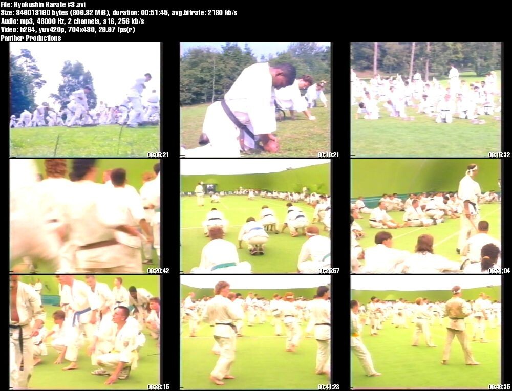 Kyokushinkai-Kan Karate starring Andy Hug & Michael Wedel (6 DVD Set)