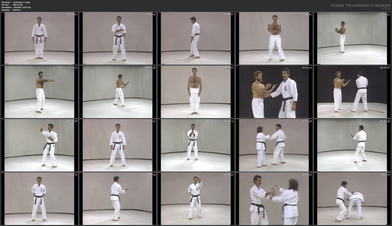 Okinawan Uechi Ryu Karate starring Rod Mindlin (8 DVD Set)