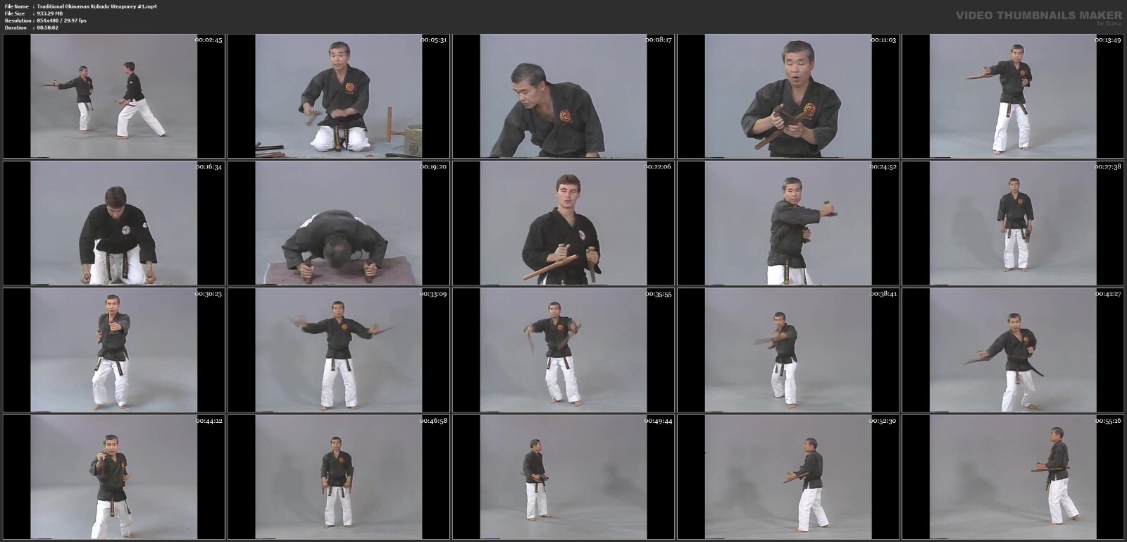 Traditional Okinawan Kobudo starring Mikio Nishiuchi (11 DVD Set)