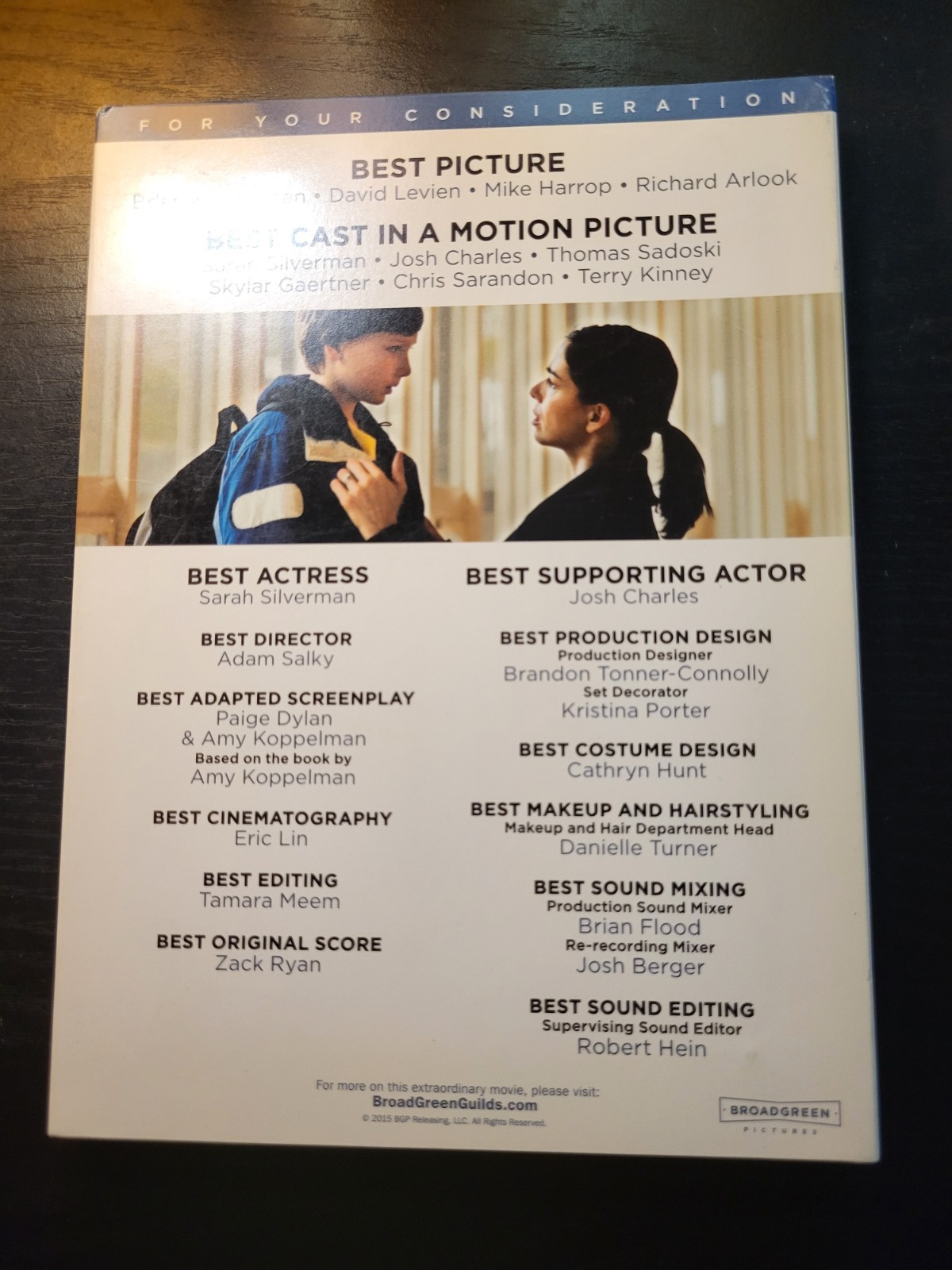 I Smile Back DVD FYC Full Length Movie Screener 2014 Sarah Silverman Brand New