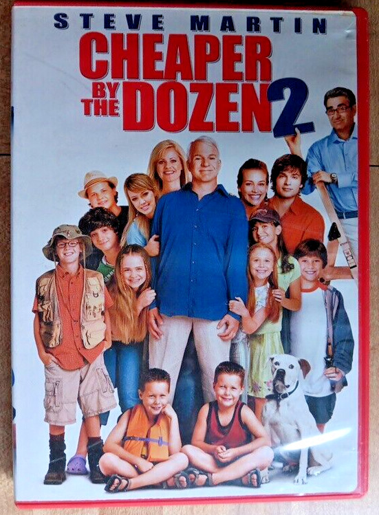 Cheaper By the Dozen 2 (DVD)