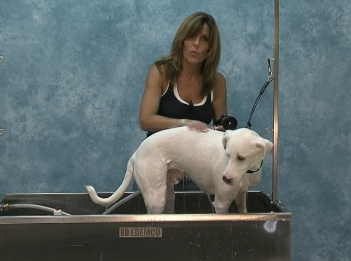 JODI MURPHY INSTRUCTIONAL SERIES DESHEDDING THEORY & TECHNIQUES dog grooming DVD