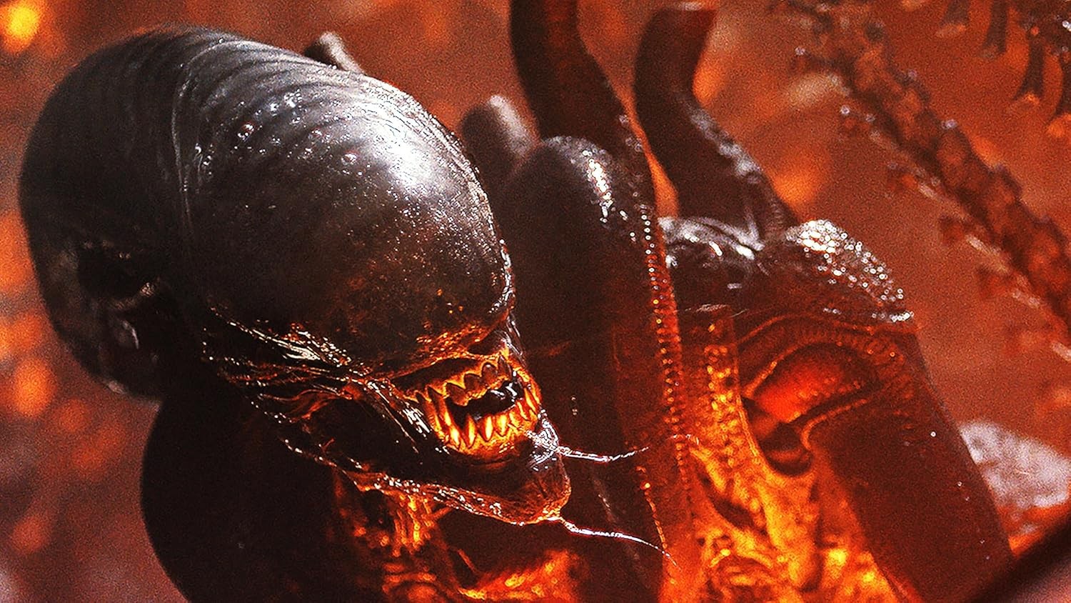 New Alien: Romulus (Blu-ray + Digital)