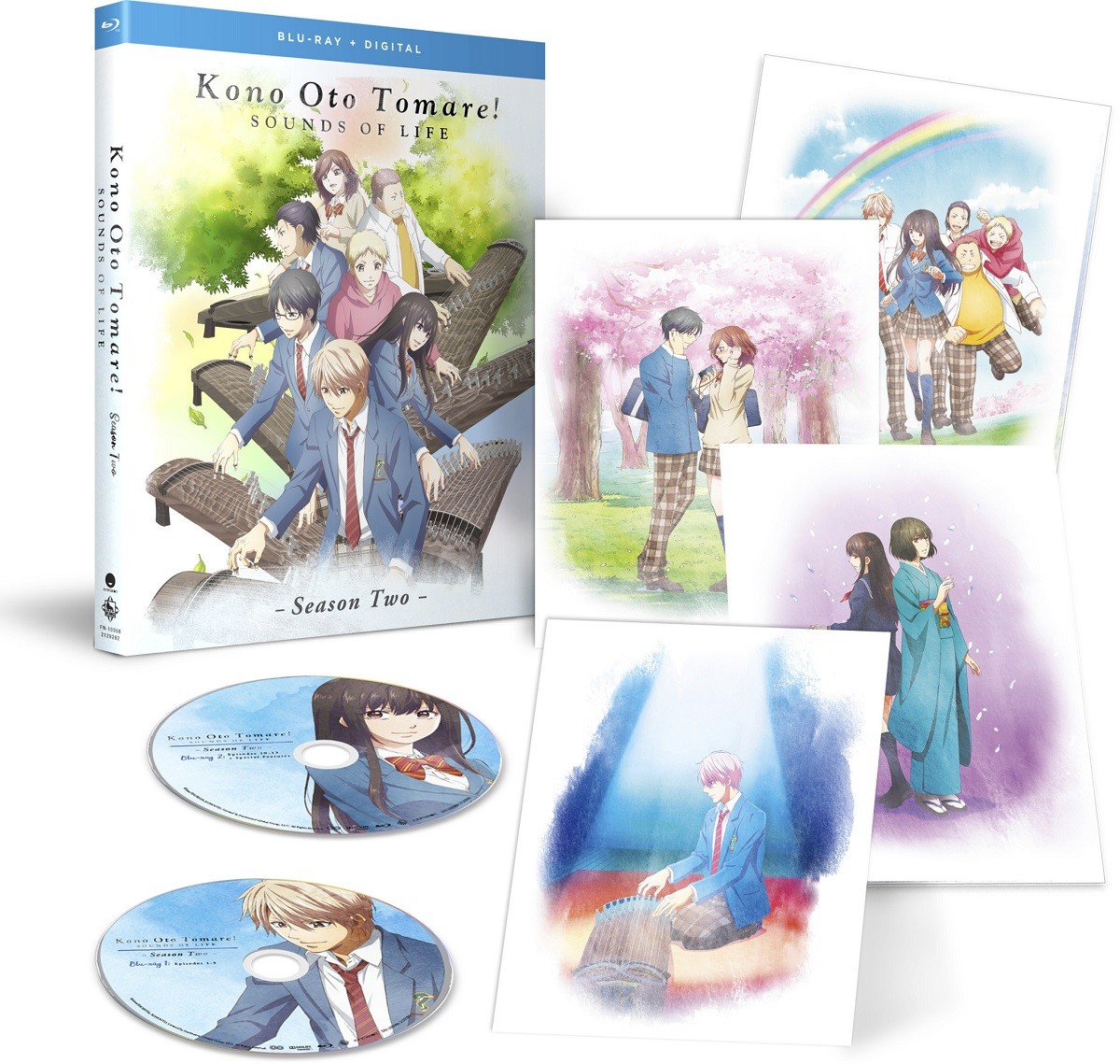 New Kono Oto Tomare!: Sounds of Life – Season Two (Blu-ray + Digital)